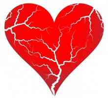 Bolile cardiovasculare - flagelul secolului XXI