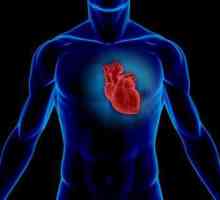 Heart hump: cauze, diagnostic, tratament