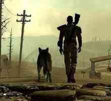"Manta de argint" (Fallout 4): descriere și trecere
