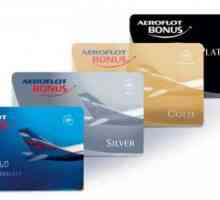 Nivelul de argint al bonusului Aeroflot: privilegiile participantului la program