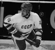 Sergey Yashin este un jucator legendar de hochei