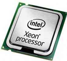 Procesor de server Xeon E3 - 1270 revizuire V2. Caracteristici, caracteristici de utilizare,…
