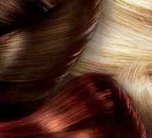 `Cess `(colorant pentru păr): recenzii, prețuri, paletă