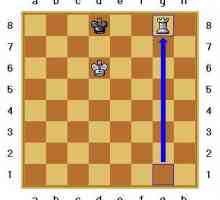Șah: istorie, mat mat, mat în 2 mișcări