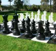 Șah: istoria apariției și dezvoltării jocului