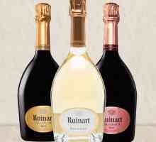 Șampania `Ryuinar` - caracteristici, tipuri, compoziție