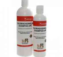 Șampon pentru câini cu clorhexidină - un instrument eficient pentru îngrijirea animalelor de…