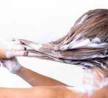Șampon profesional Loreal: descriere, compoziție și recenzii