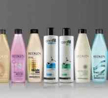 Șampon Redken (Redken) - îngrijire profesională a părului