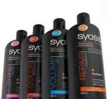 Șampon `Cies`: comentarii despre îngrijirea profesională a părului