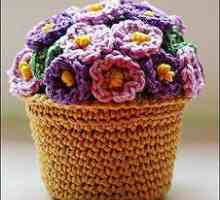 Modele de tricotat pentru flori crosetate în ghivece. Flori crosetate frumoase: descriere