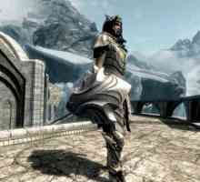 Shield Auriel în jocurile din seria "The Scrolls Elder"