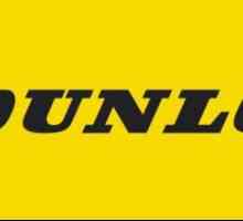 Anvelope Dunlop Eco EC201: recenzii, descrieri, caracteristici