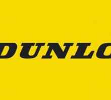 Anvelope Dunlop: Țara de origine, recenzii