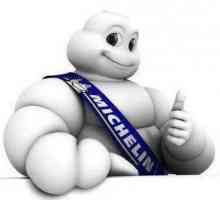Шины Michelin X-Ice 3: отзывы, цены. Отзывы о резине `Мишлен Икс-Айс Норд 3`