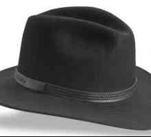 Hat cu latime mare - elegant, la modă, original