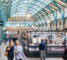 Shopping in London: fotografii, recomandări și recenzii