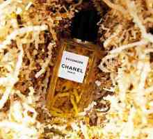 `Sikomore Chanel`: descriere, recenzii