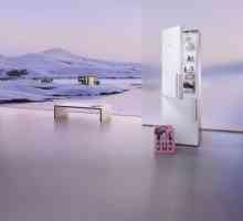 `Siemens `, frigidere: recenzii ale celor mai bune modele