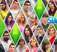 Sims 4: materiale adiționale și alte tipuri de conținut