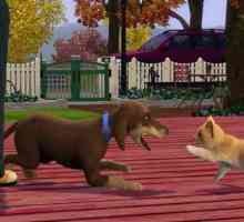 `The Sims 4: Pets``. Adăugarea mult așteptată