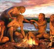 Sinanthropus este reprezentantul lumii oamenilor?