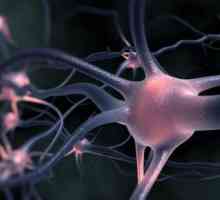 Sindromul ALS. Scleroza laterală amiotrofică: tratament