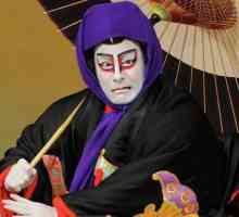 Sindromul Kabuki: diagnostic, simptome, tratament, prognostic