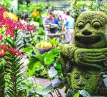 Singapore Botanical Garden: istorie, fotografie, cum să ajungi acolo?