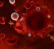 Sistemul ABO și moștenirea grupului de sânge la om