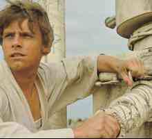 Skywalker Luke (`Star Wars`): povestea personajului. Cine a jucat pe Luke Skywalker…