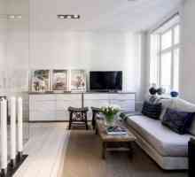 Stilul scandinav în apartament: caracteristici de design, combinații și idei interesante