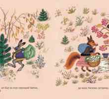 Povestea `The Hare and the Fox` este o lucrare pentru cei mici