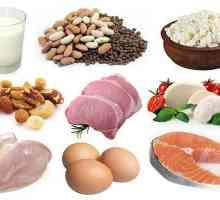 Сколько белка усваивается за один прием пищи? Белок и углеводы в продуктах питания