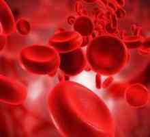 Câte grupe de sânge există? Ce reprezintă grupul de sânge, compatibilitatea
