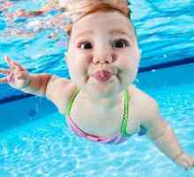 Câte calorii sunt arse în timp ce înotați în piscină? Calculator de consum de calorii