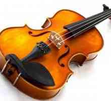 Câte corzi au o vioară și cum funcționează instrumentul?