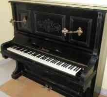 Cât cântă pianul și cum să transportați corect instrumentul?