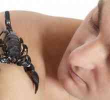 Scorpionul este un bărbat: ce fel de femeie îi place, ce calități au?