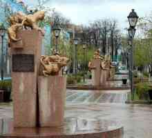 Piața pisicilor din Siberia - un monument confortabil pentru eroii cu coadă