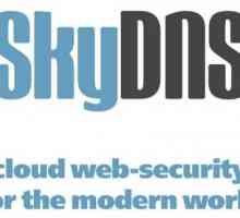 SkyDNS: Cum să dezactivați? Filtru de internet
