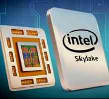 Skylake este un procesor de la Intel. Descriere, caracteristici, tipuri și recenzii
