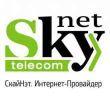 SkyNet: comentarii despre furnizor, caracteristici, tarife și servicii