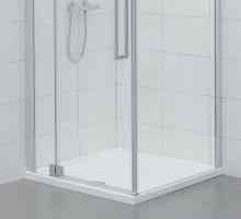 Prune pentru cabine de duș: caracteristici ale diferitelor sisteme