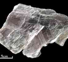 Mica - este un mineral? Descrierea și proprietățile micii