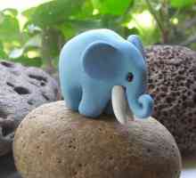 Elefantul este fabricat din plastilină. Cum să faci un orb?