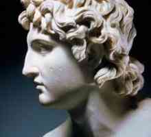 Moartea lui Alexandru cel Mare: cauză, versiune, loc și an. Imperiul lui Alexandru cel Mare după…
