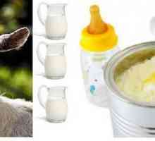Amestecuri pe lapte de capră: recenzii, preț și compoziție. Care sunt avantajele amestecurilor de…
