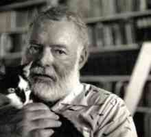 Fulger de zăpadă - pisica lui Hemingway cu șase fâșii