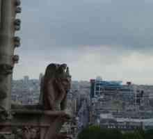 `Notre Dame de Paris `: arta nu îmbătrânește